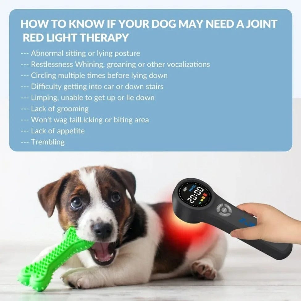 Cold Laser Therapy Device for Pain Relief | 4x808nm & 16x650nm Infrared Light Therapy | Handheld… — product image 10