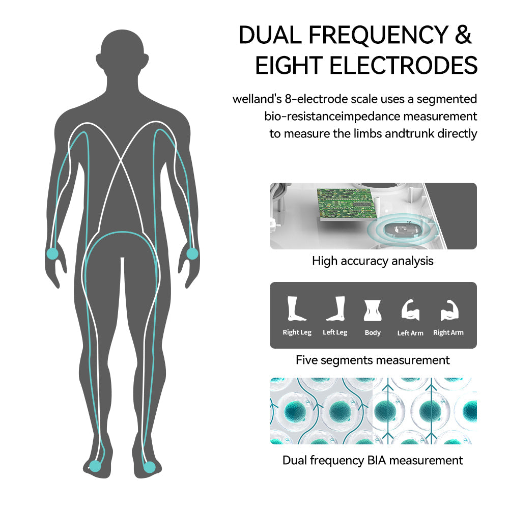 Professional Smart Body Fat Scale – 8 Electrodes Body Composition Analyzer, Bioimpedance Technology,… — product image 12