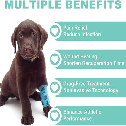 Cold Laser Therapy Device for Pets – Dual 808nm and 650nm Red Light Handheld Vet Therapy Tool — product image 4