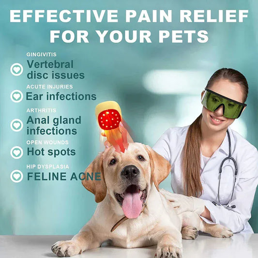 Cold Laser Therapy Device for Pets – Dual 808nm and 650nm Red Light Handheld Vet Therapy Tool — product image 2